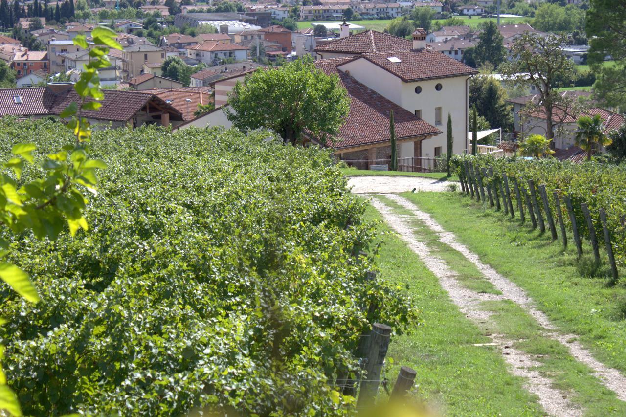 La Costa Fattoria Sociale Villa Sarcedo Exterior photo
